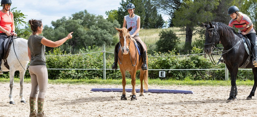 AIDE D'URGENCE POUR LES CENTRES EQUESTRES ET PONEYS CLUB
